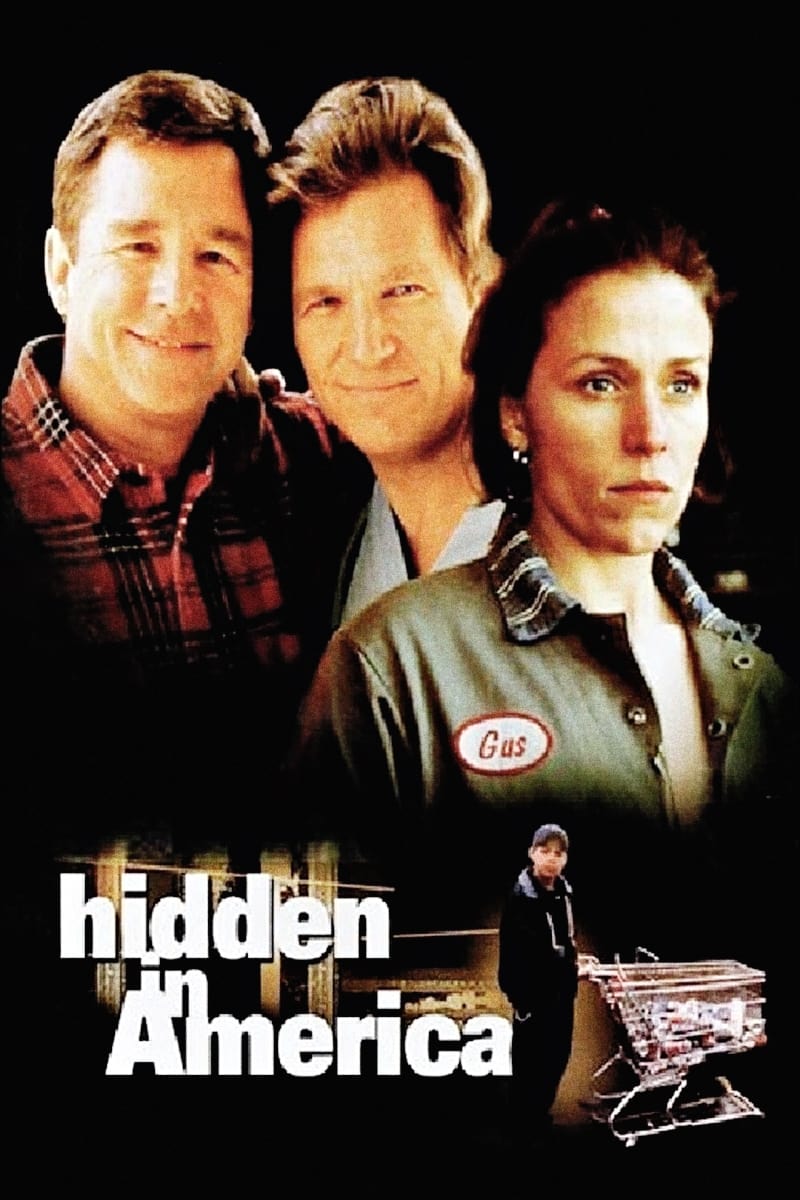 Постер Hidden in America